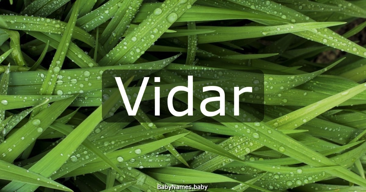 Vidar