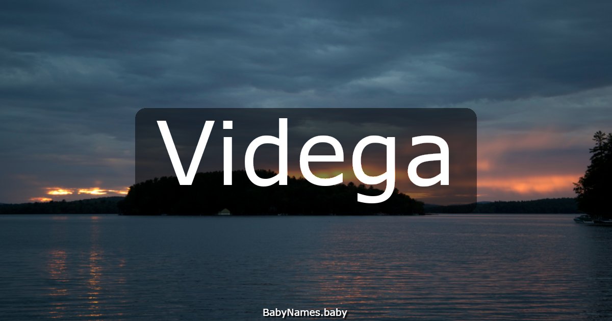 Videga