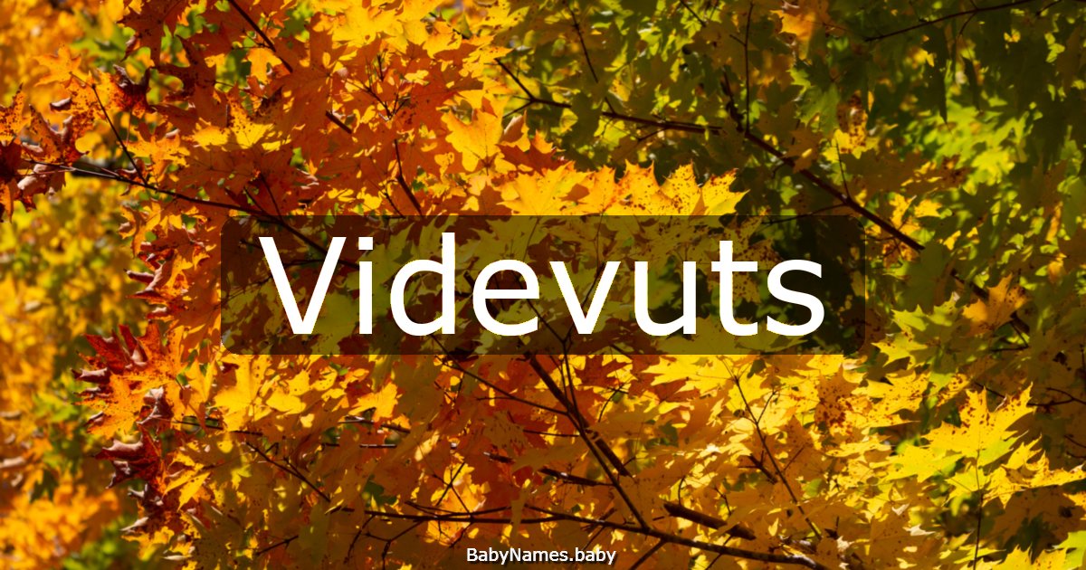 Videvuts