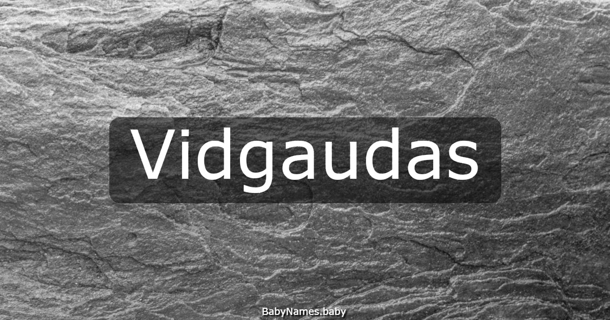 Vidgaudas