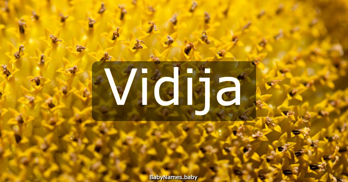 Vidija