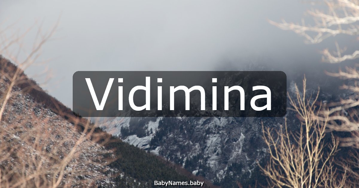 Vidimina