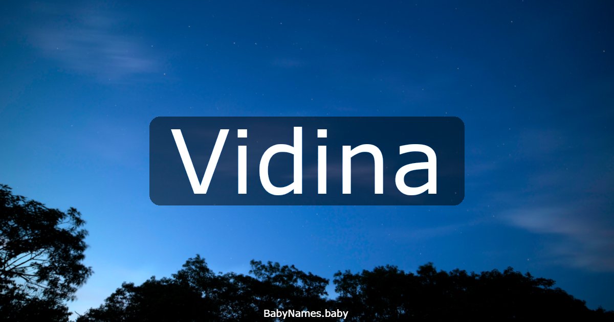 Vidina