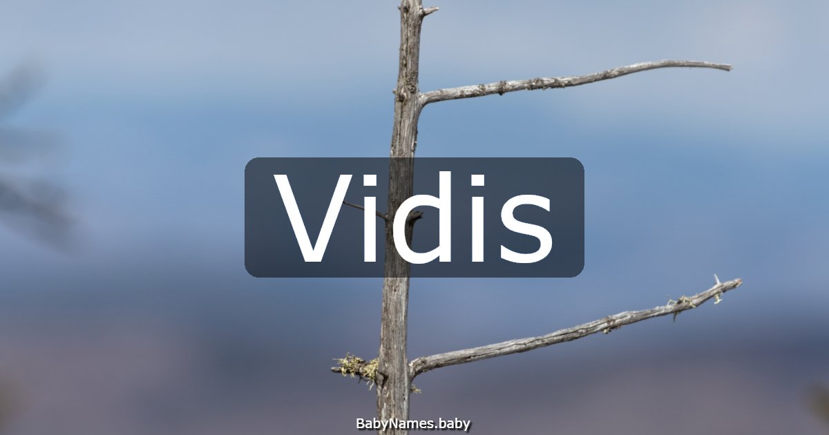 Vidis