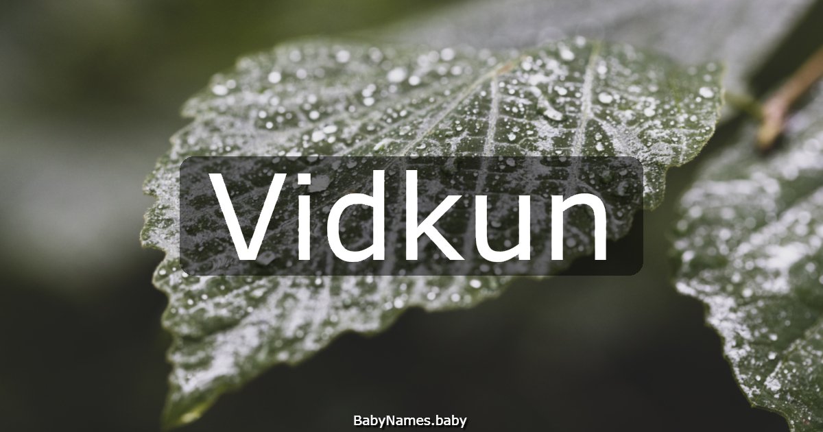 Vidkun