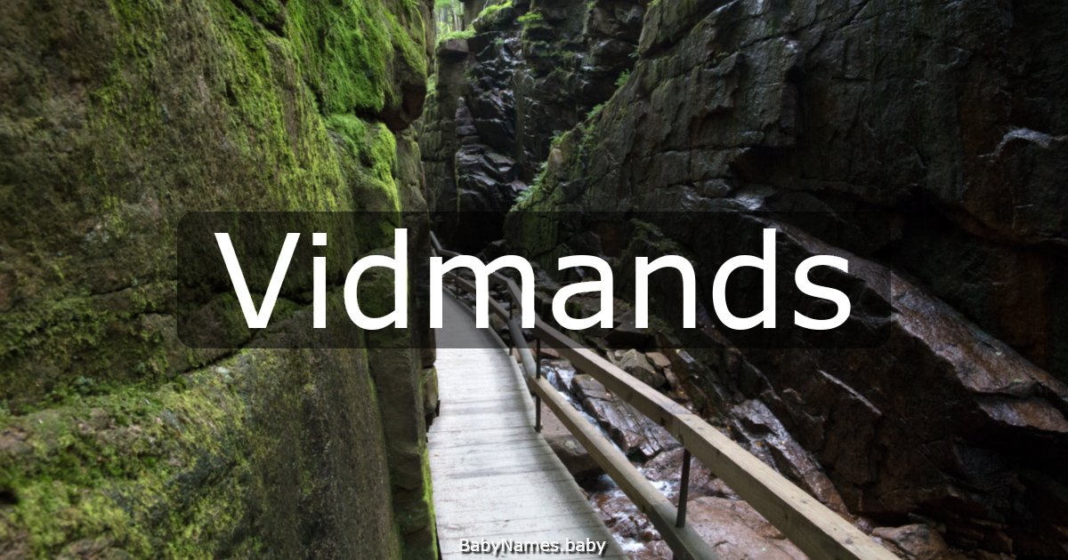 Vidmands
