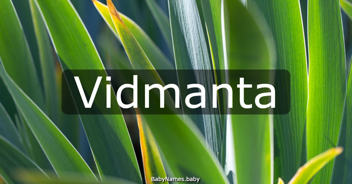Vidmanta