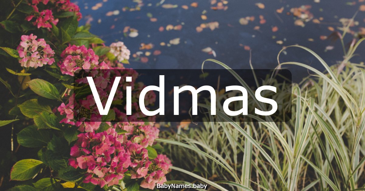 Vidmas