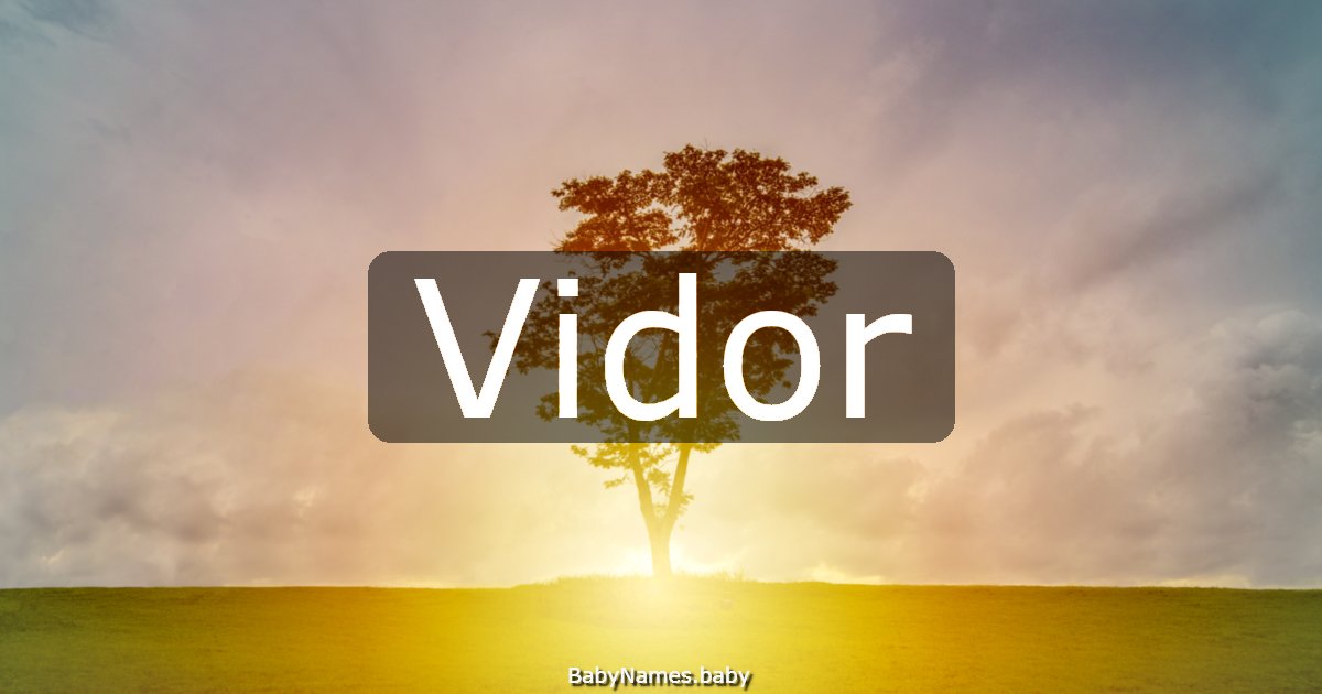 Vidor