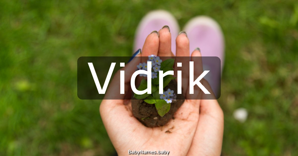 Vidrik