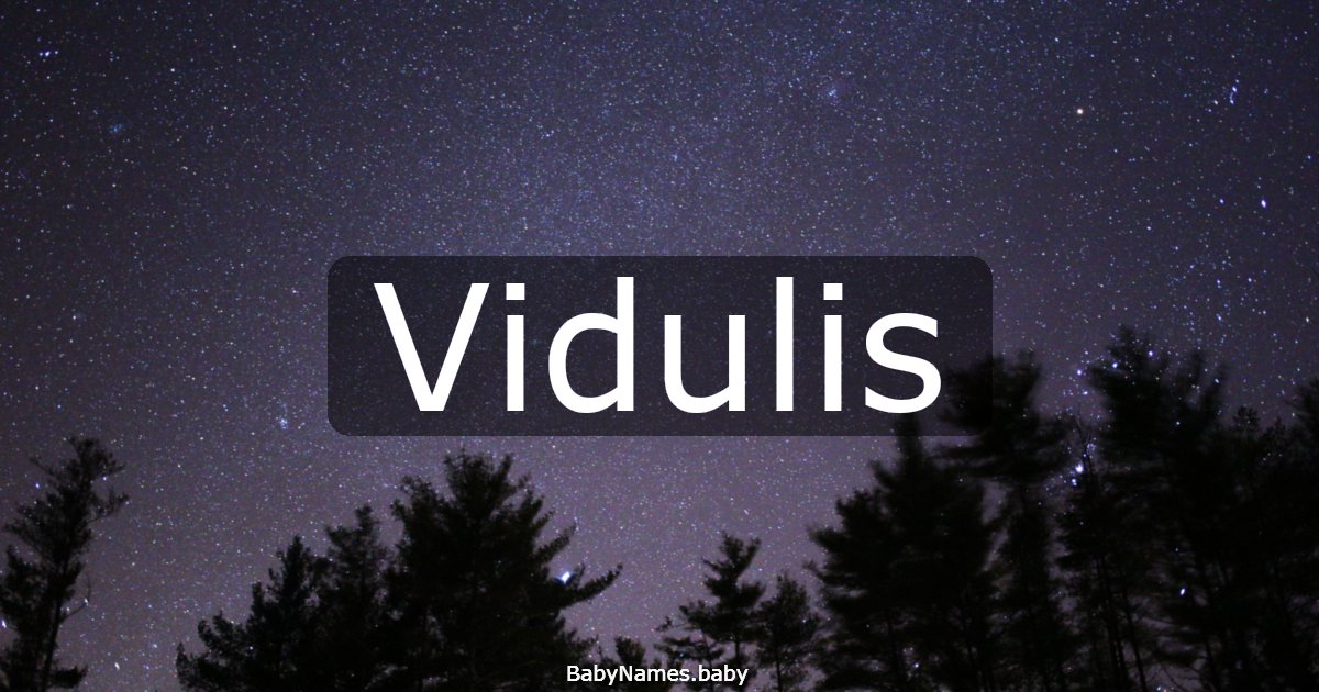 Vidulis