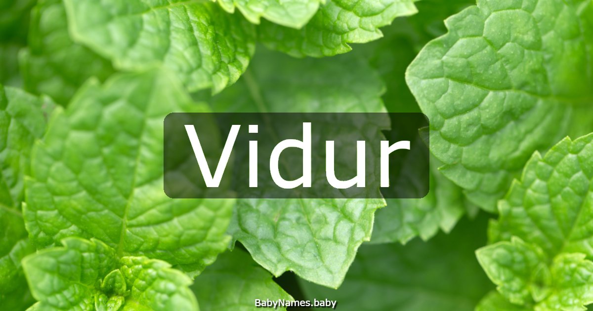 Vidur