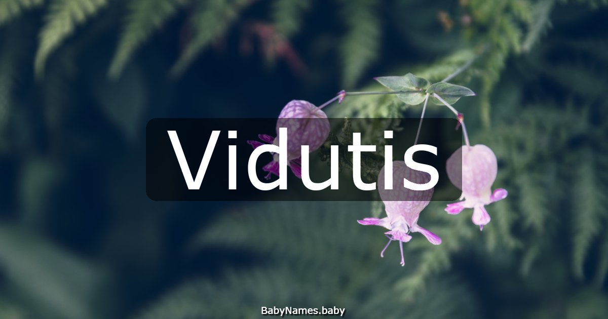 Vidutis