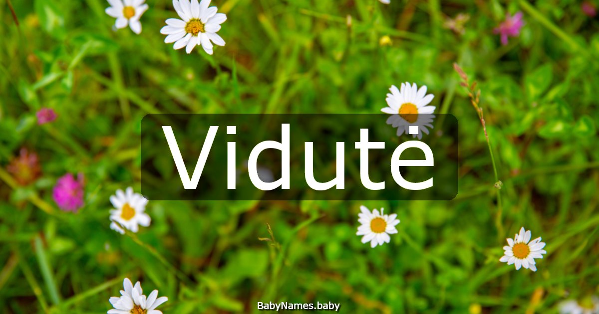 Vidutė