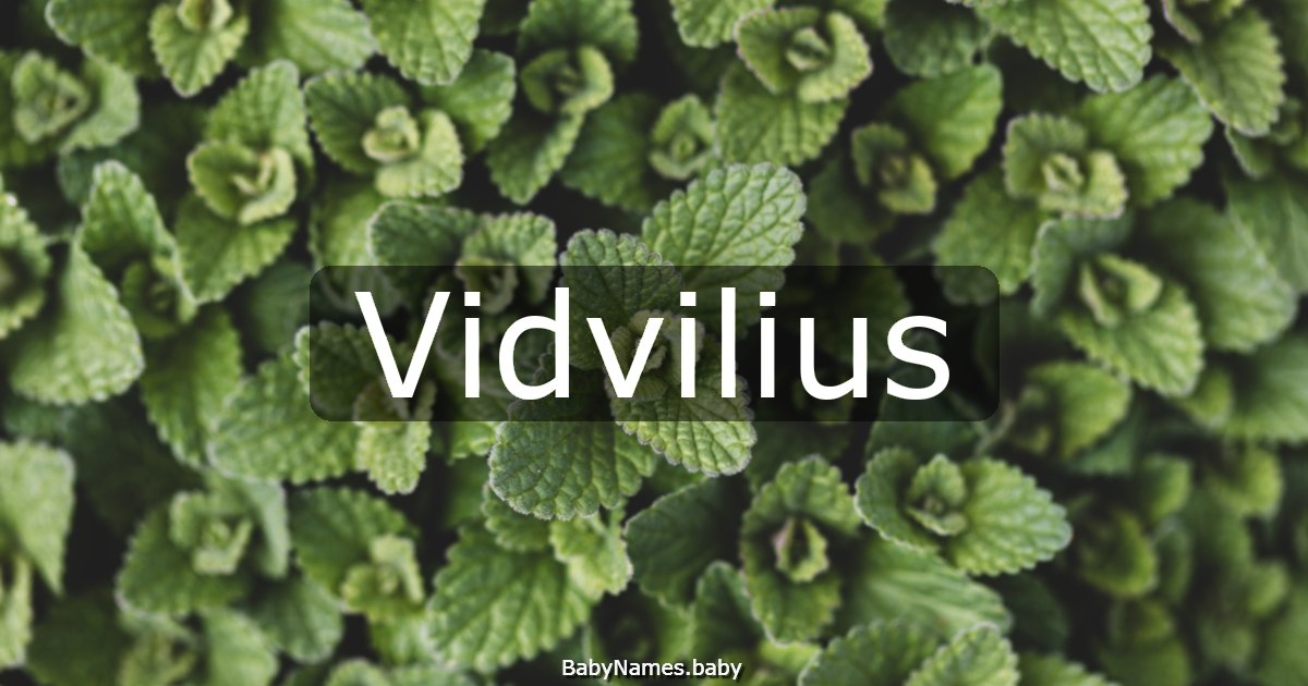 Vidvilius