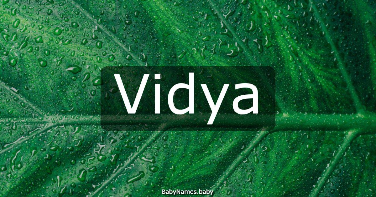 Vidya