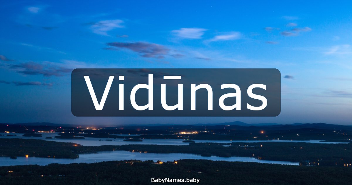 Vidūnas