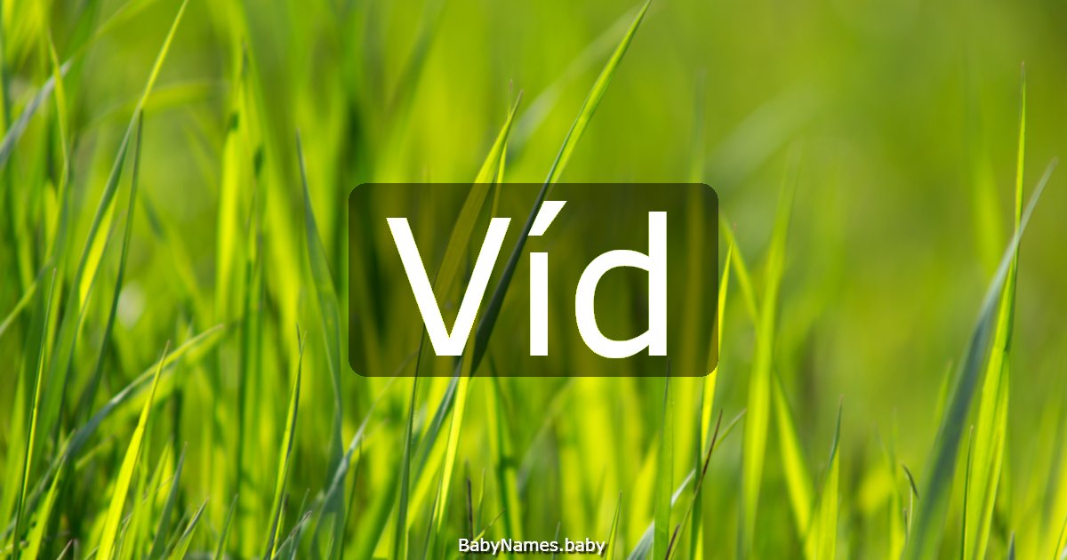 Víd