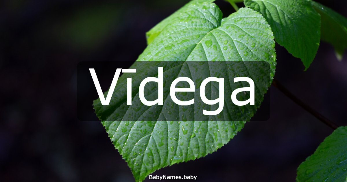 Vīdega