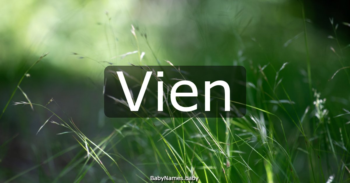 Vien