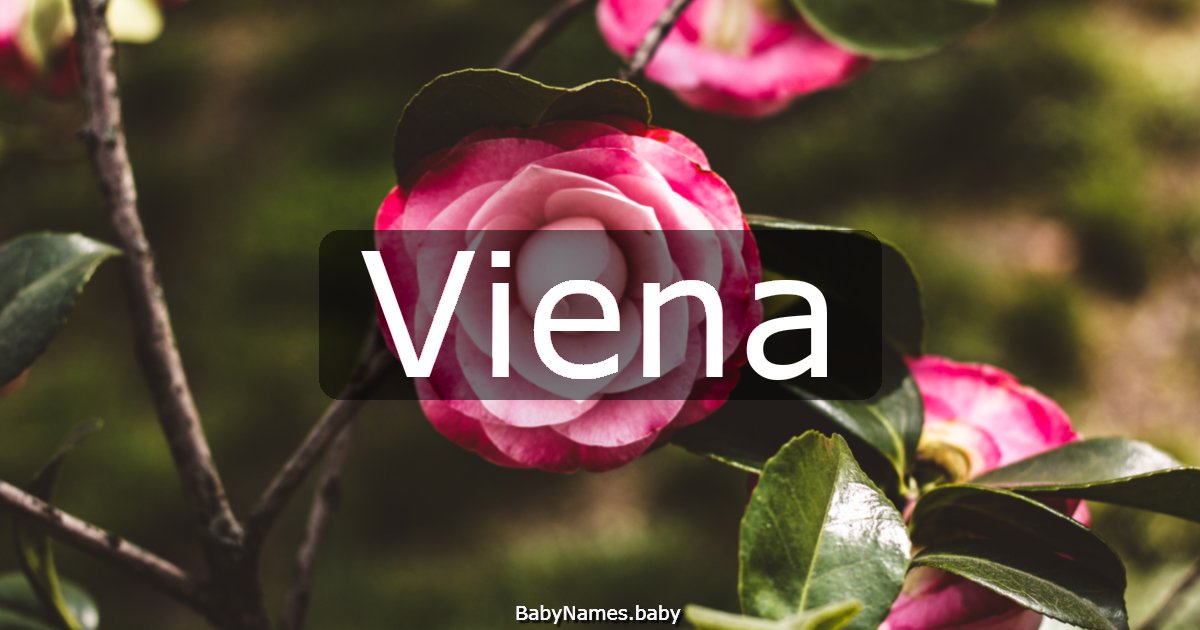Viena