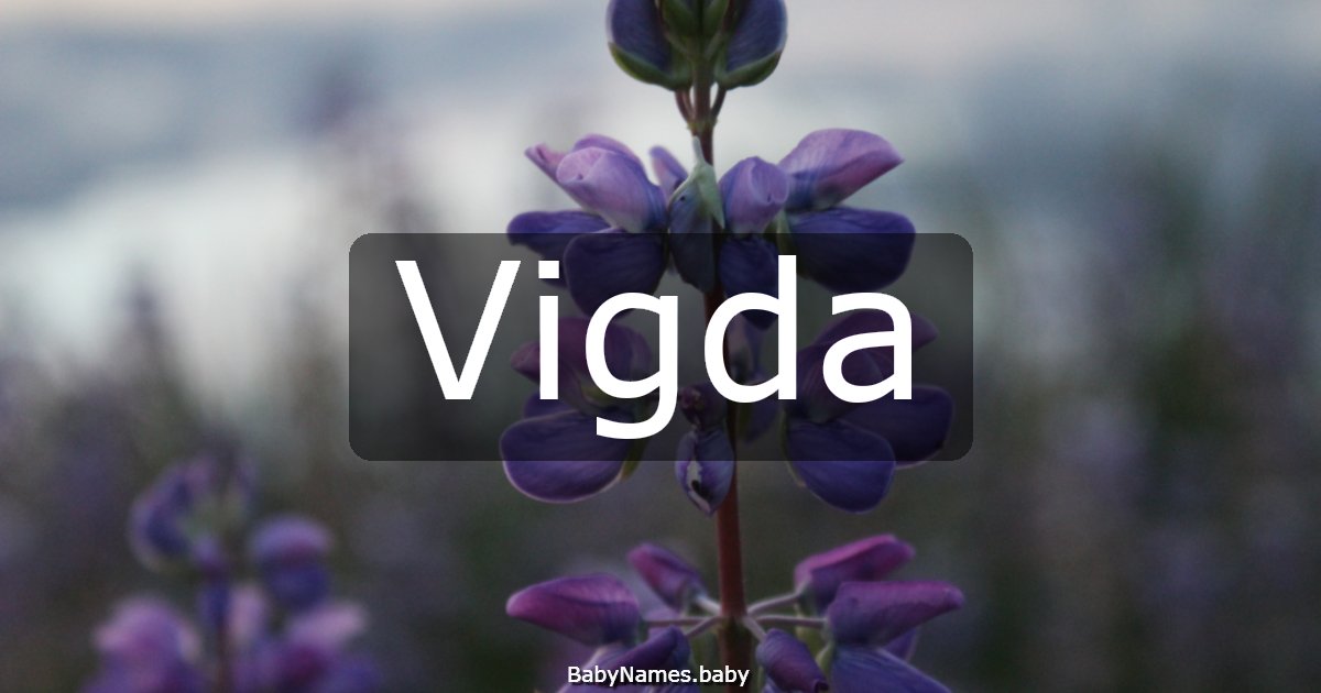 Vigda