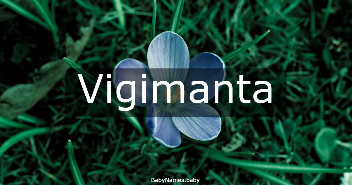 Vigimanta