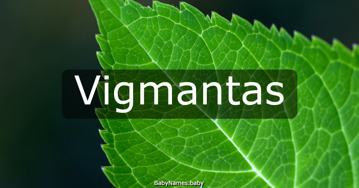 Vigmantas