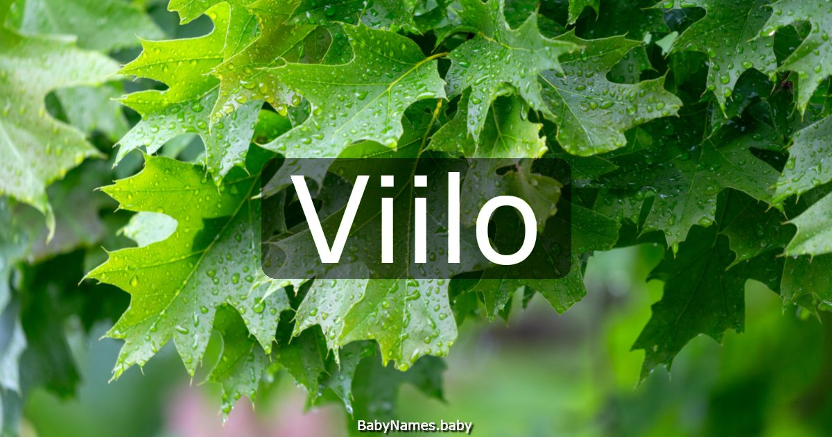 Viilo