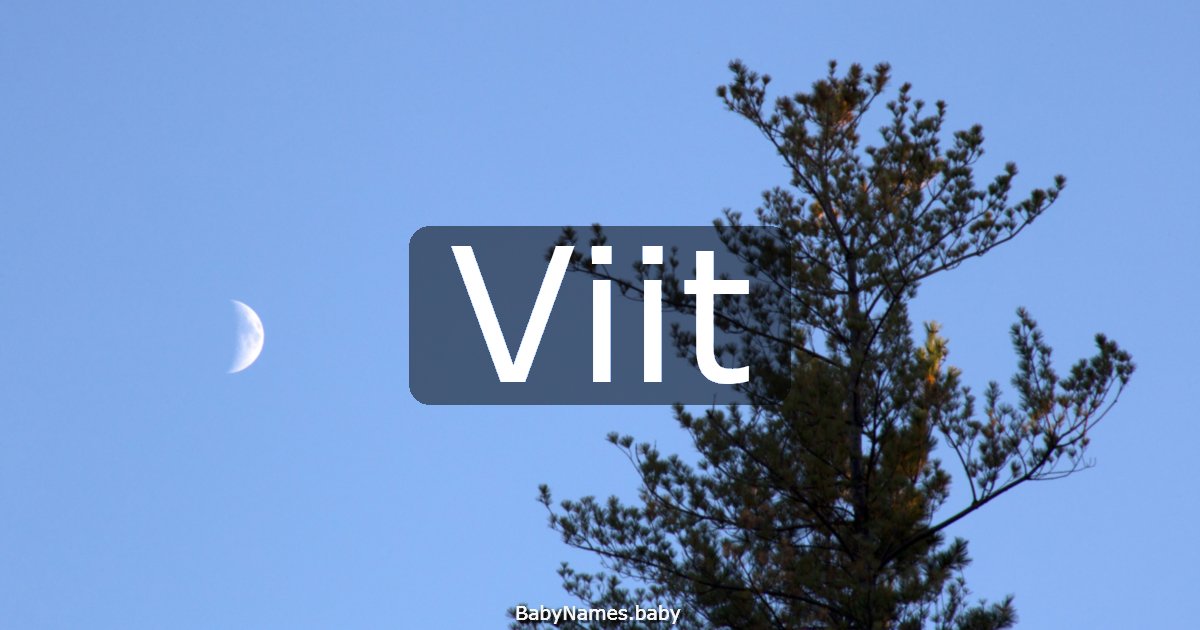 Viit