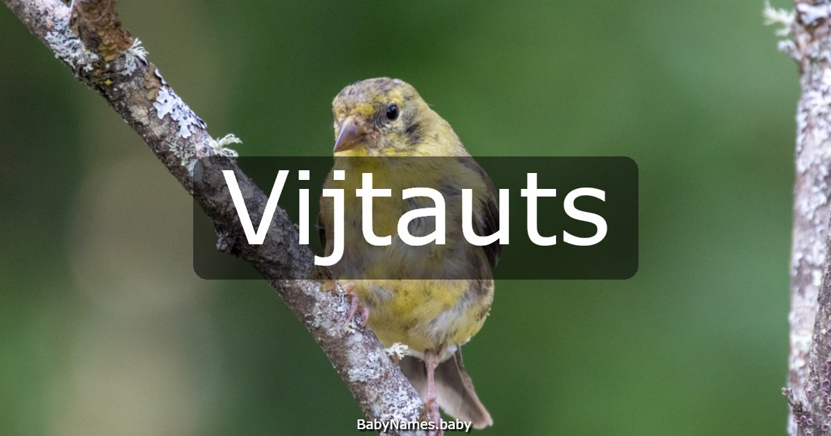 Vijtauts