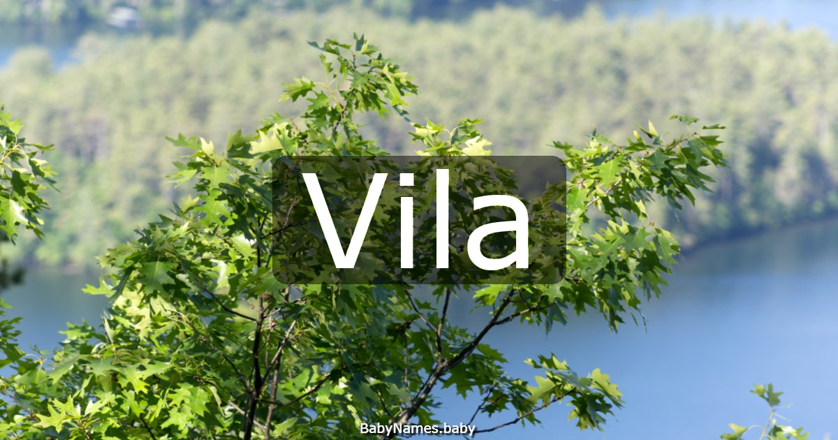 Vila