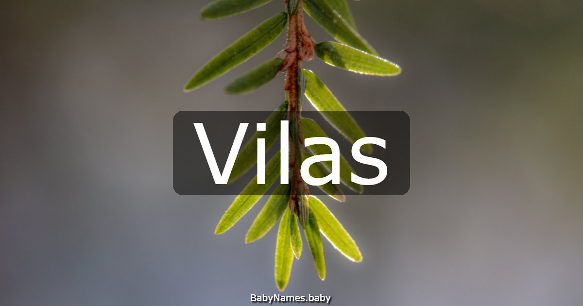 Vilas