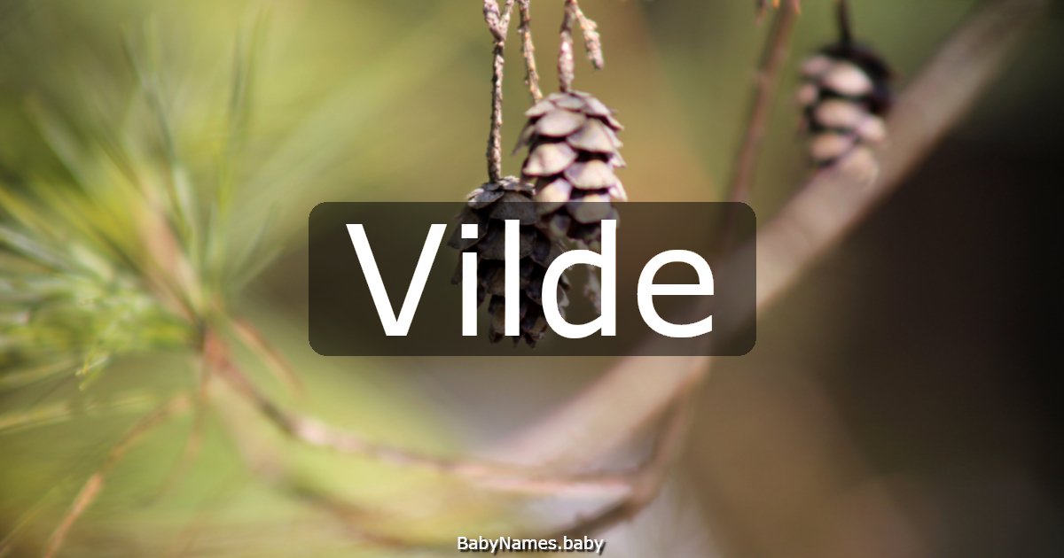 Vilde