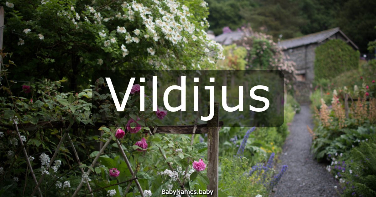 Vildijus