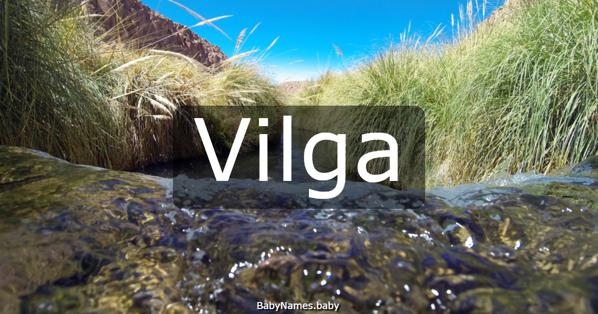 Vilga