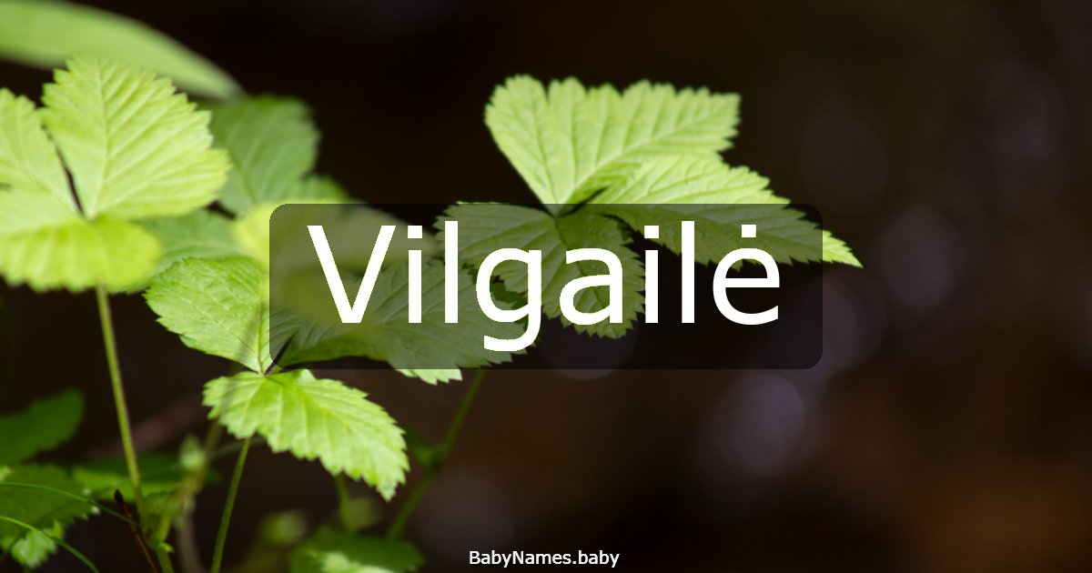 Vilgailė