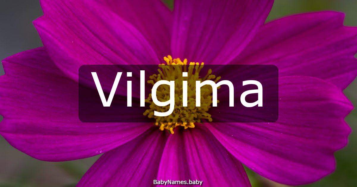 Vilgima
