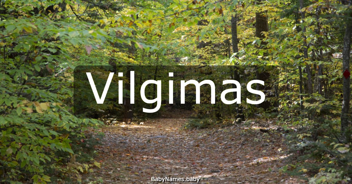 Vilgimas