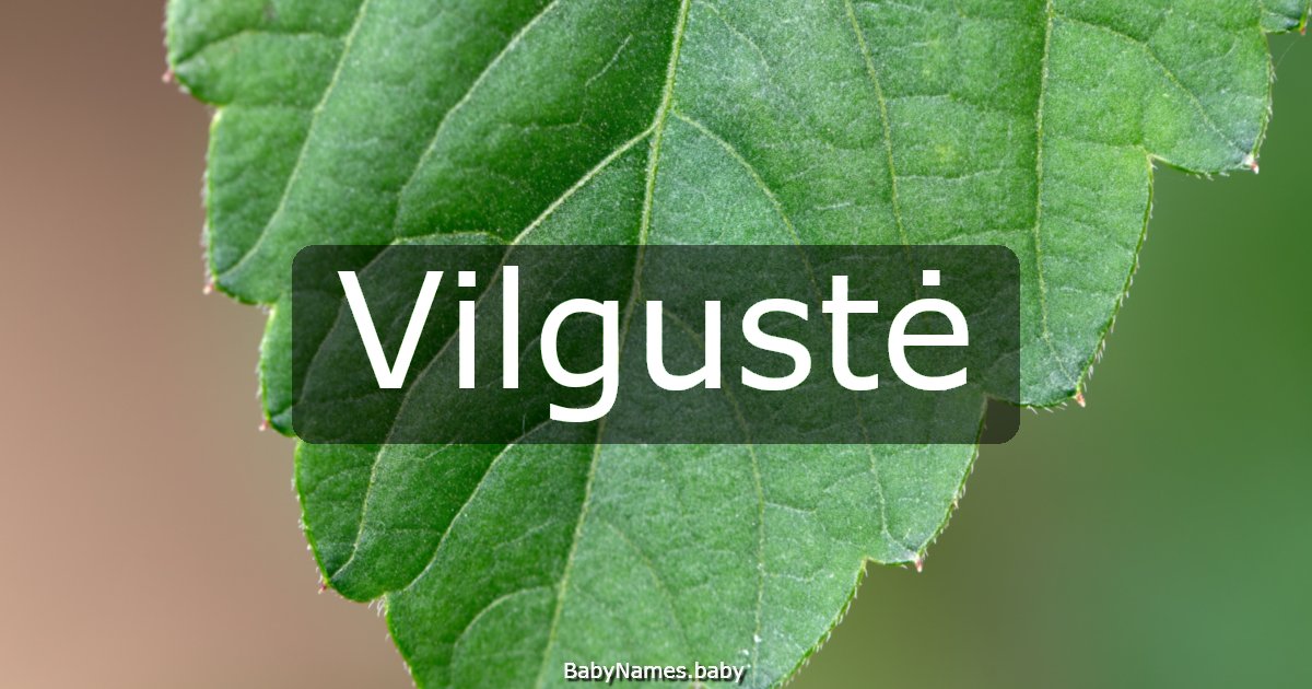 Vilgustė