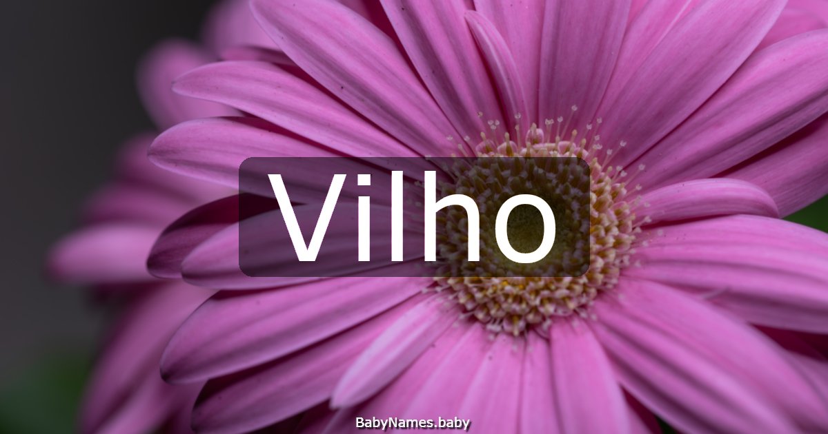 Vilho