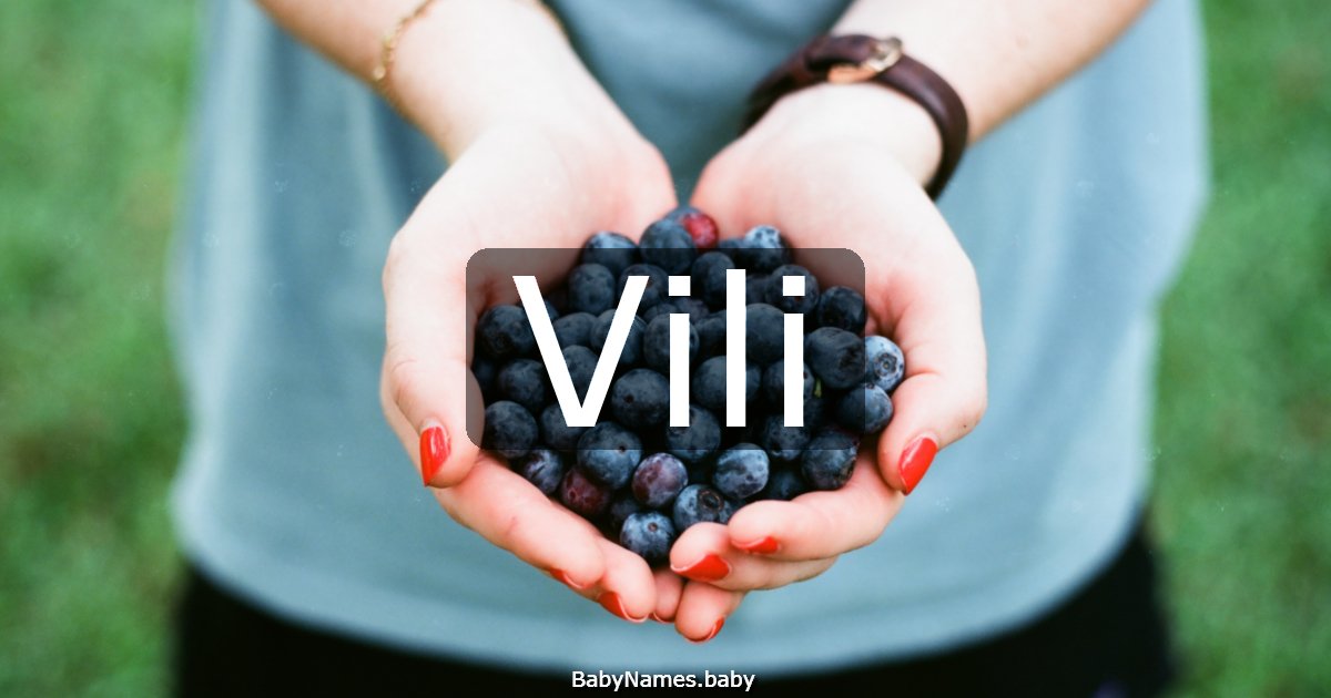 Vili