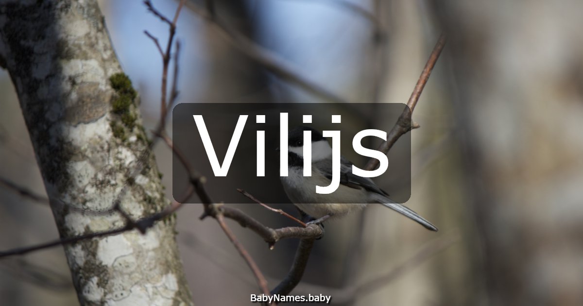 Vilijs