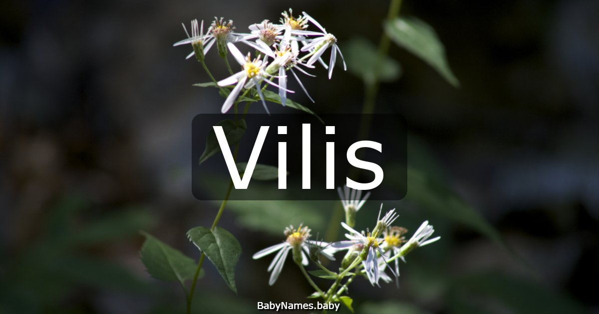 Vilis
