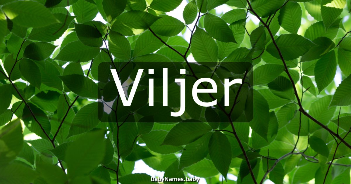 Viljer