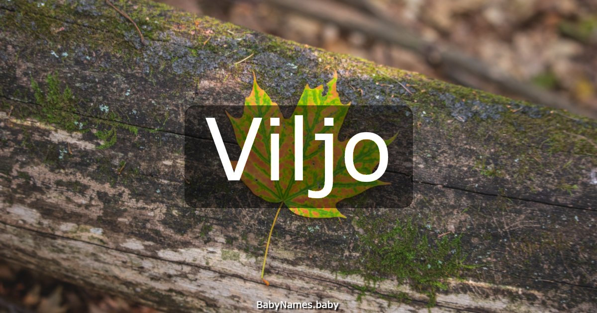 Viljo