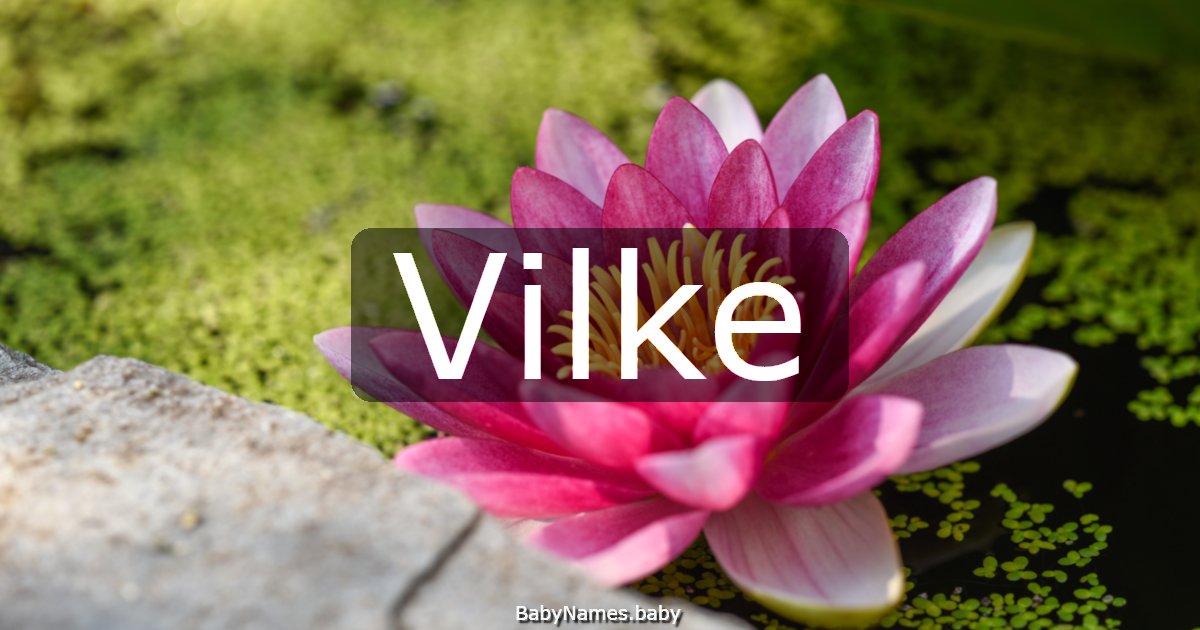 Vilke