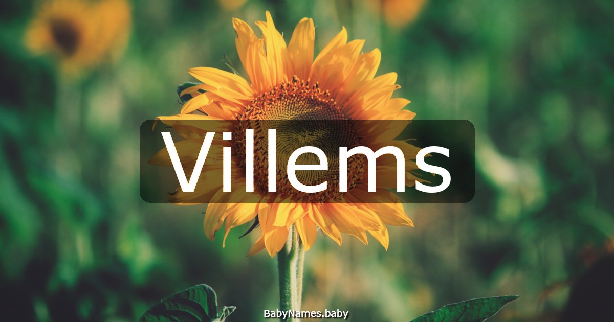 Villems