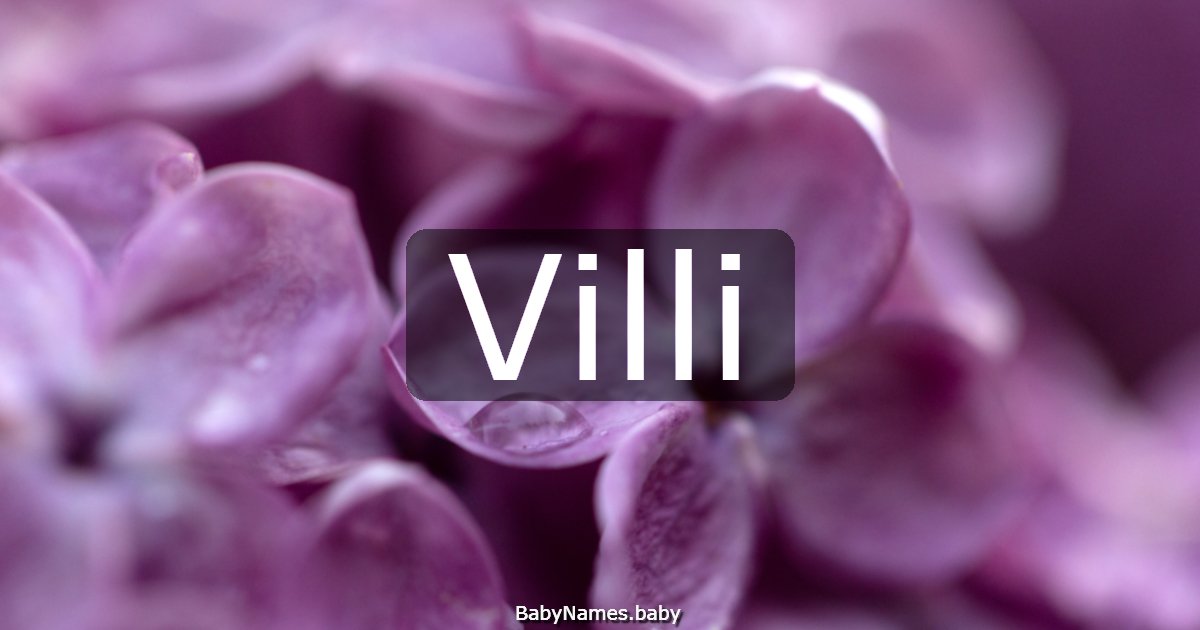 Villi