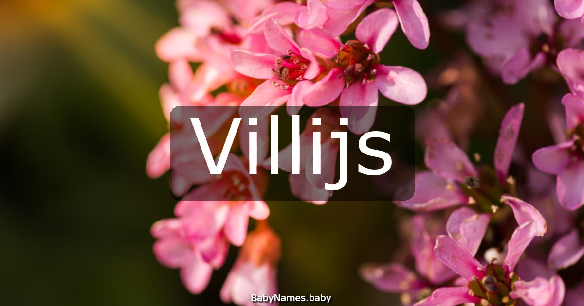 Villijs
